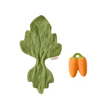 Oli&Carol Cathy the Carrot Mini Doudou-Teether