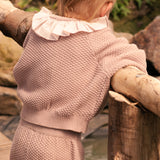 Donsje seloen šorts, plum