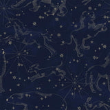 Dekornik wallpaper constellations dark
