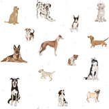 Dekornik wallpaper dogs are the best, white