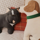 Lorena Canals pillow jimmy